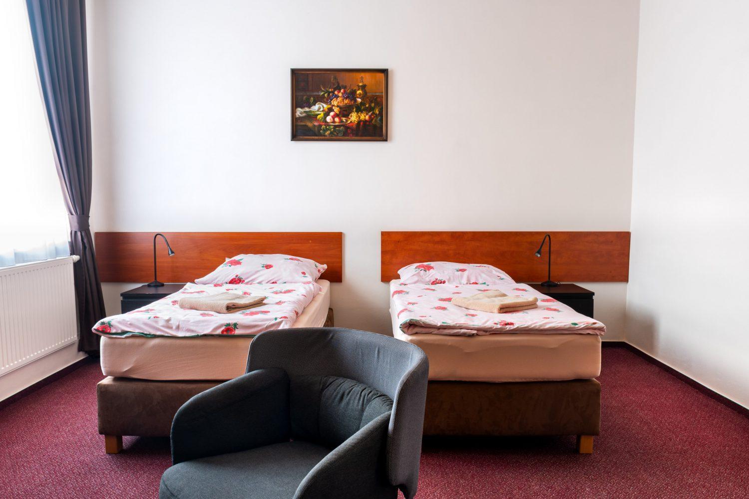 Hotel Alfa Тршебич Экстерьер фото
